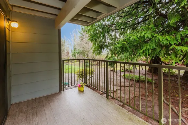 a view of backyard from door