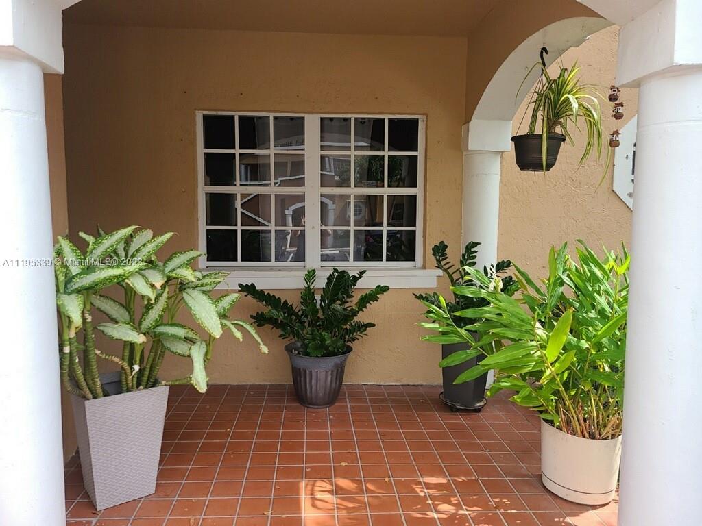 a potted plant sitting in front of a house