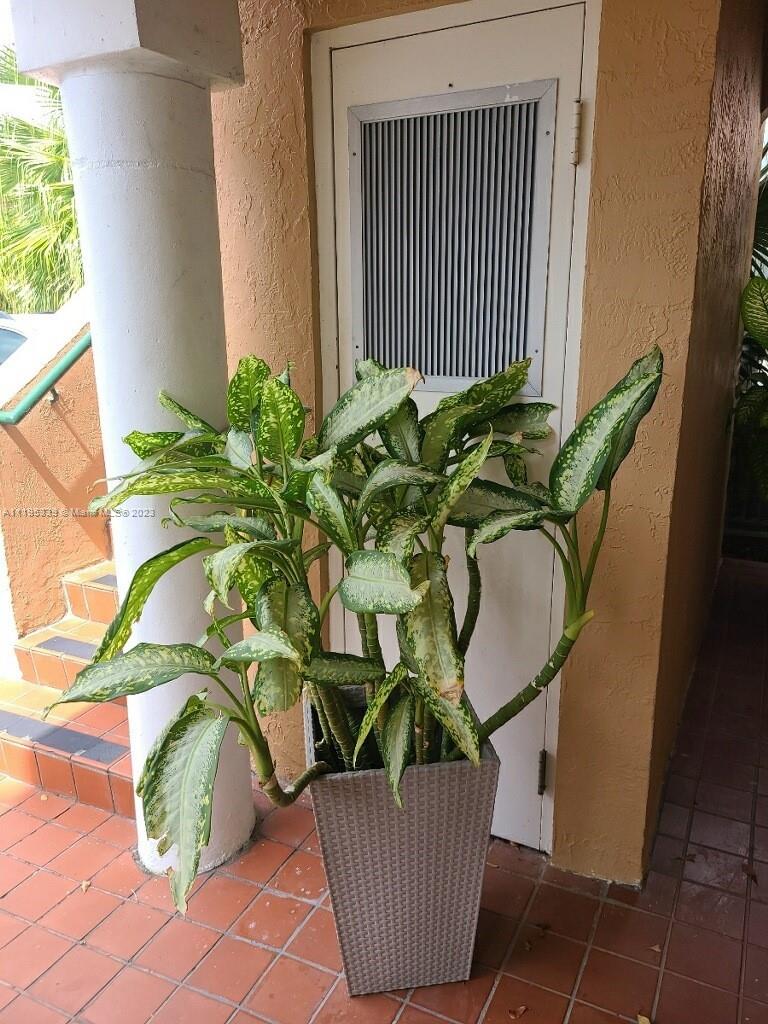 10030 Hammocks Boulevard, Unit 101 Miami, FL 33196 - Photo 11 of 27 a vase of flowers sitting on a floor