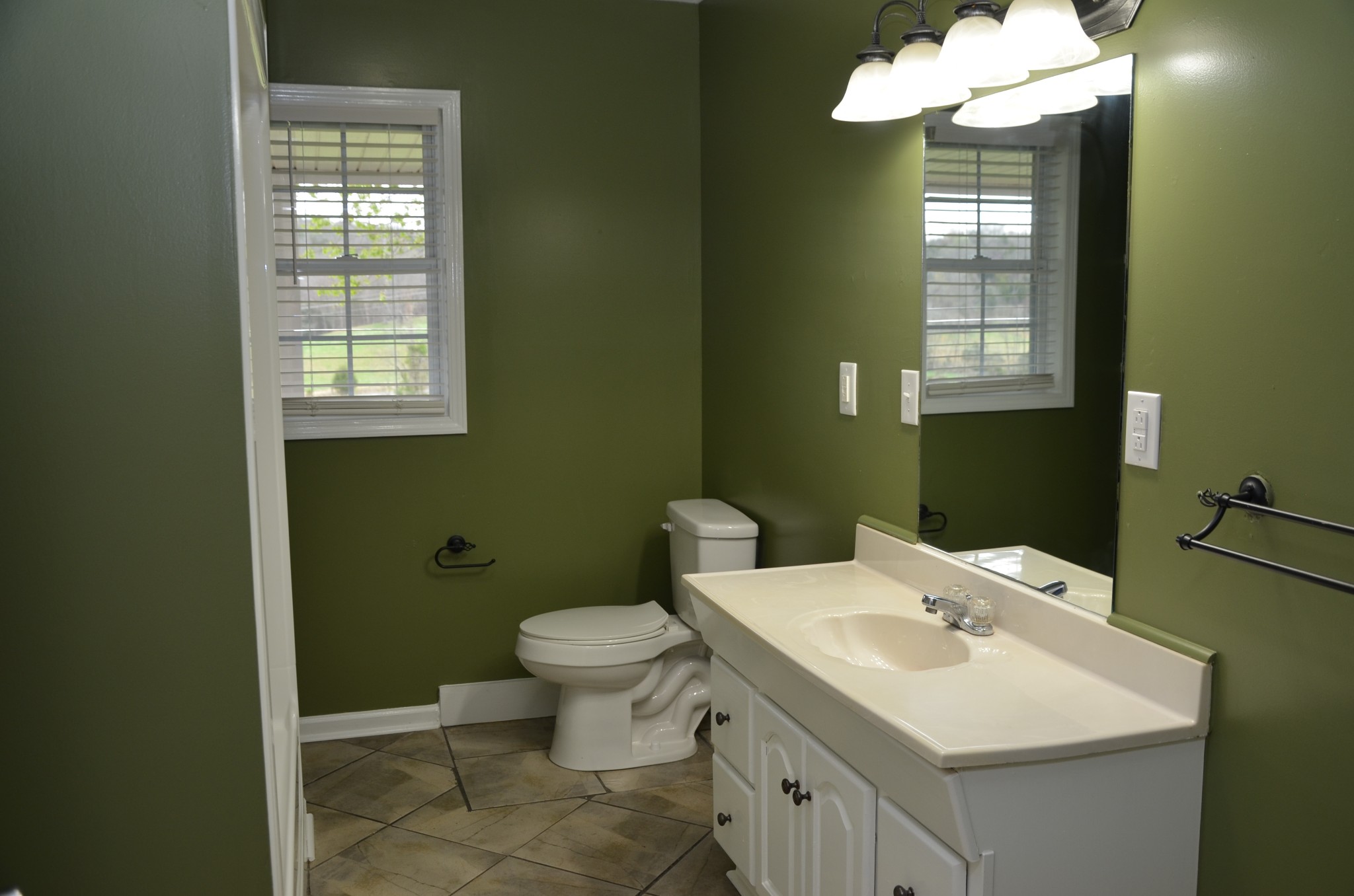2742 Sherrilltown Road Watertown, TN 37184 - Photo 15 of 30 a bathroom with a toilet sink and mirror