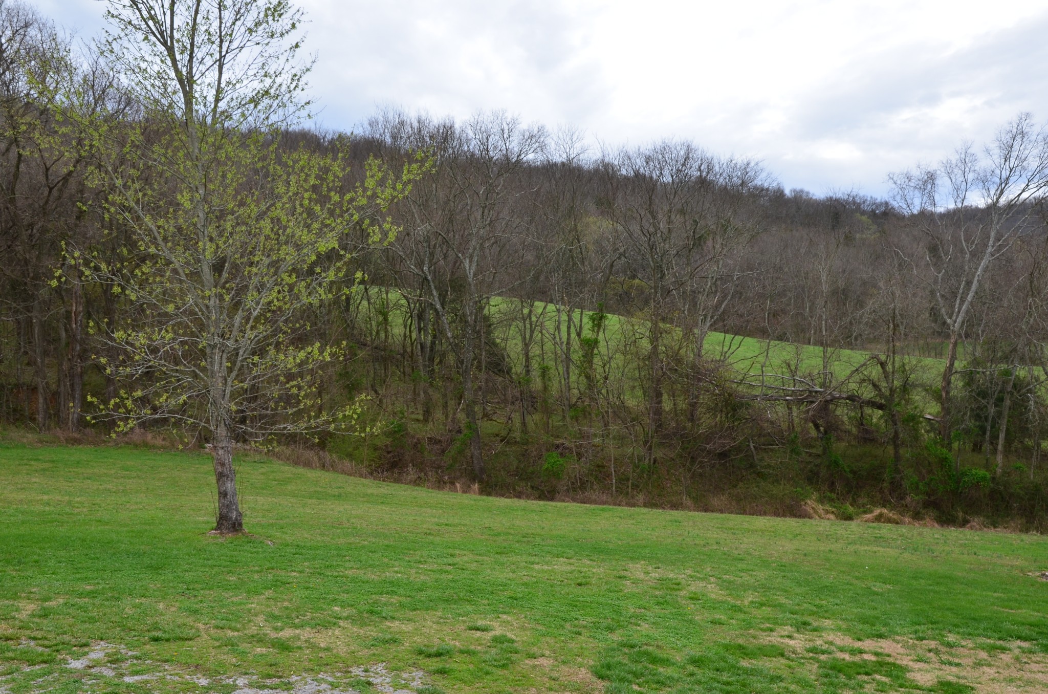 2742 Sherrilltown Road Watertown, TN 37184 - Photo 24 of 30 a view of a green field