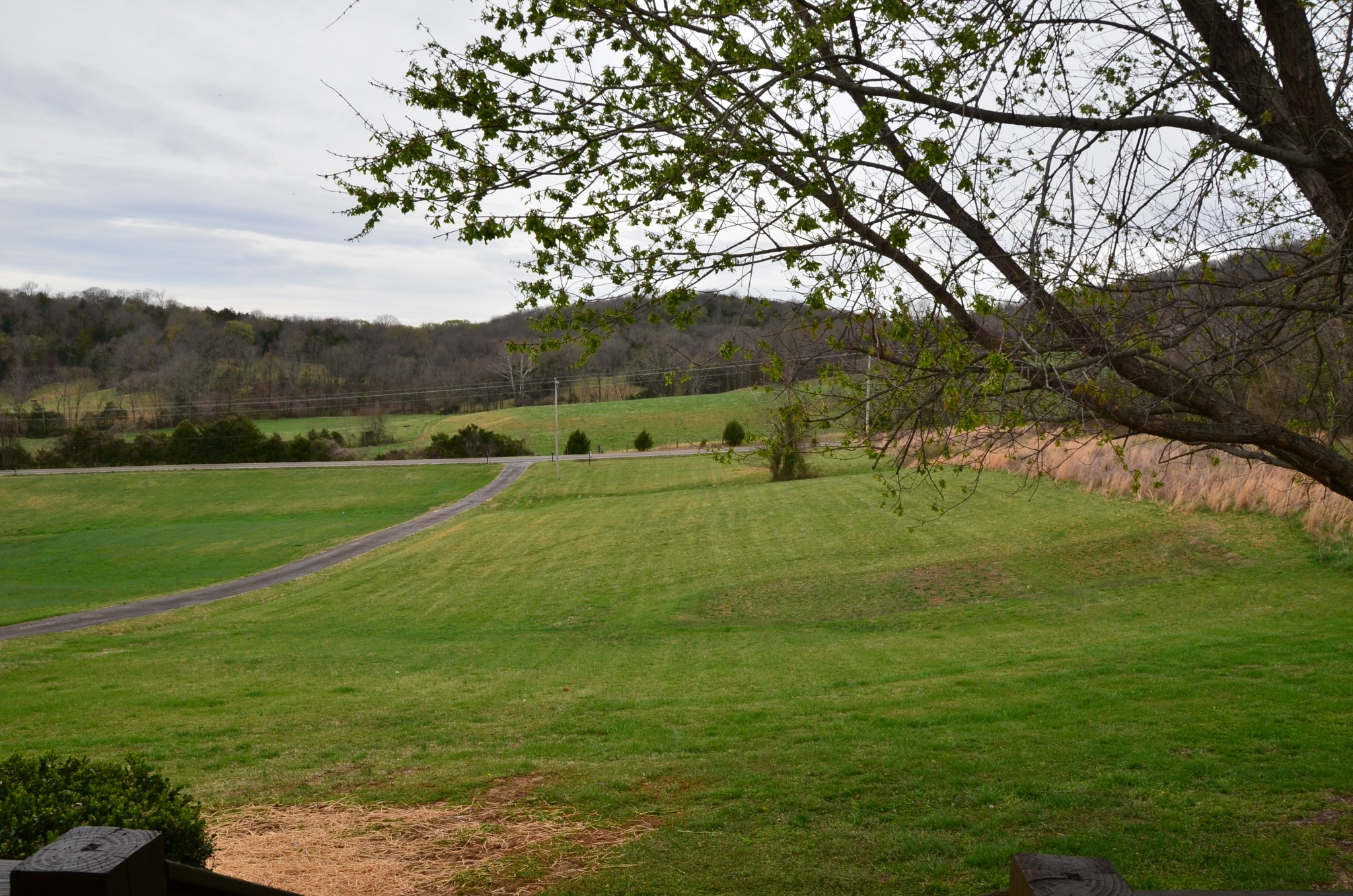 2742 Sherrilltown Road Watertown, TN 37184 - Photo 4 of 30 a view of field with grass and trees
