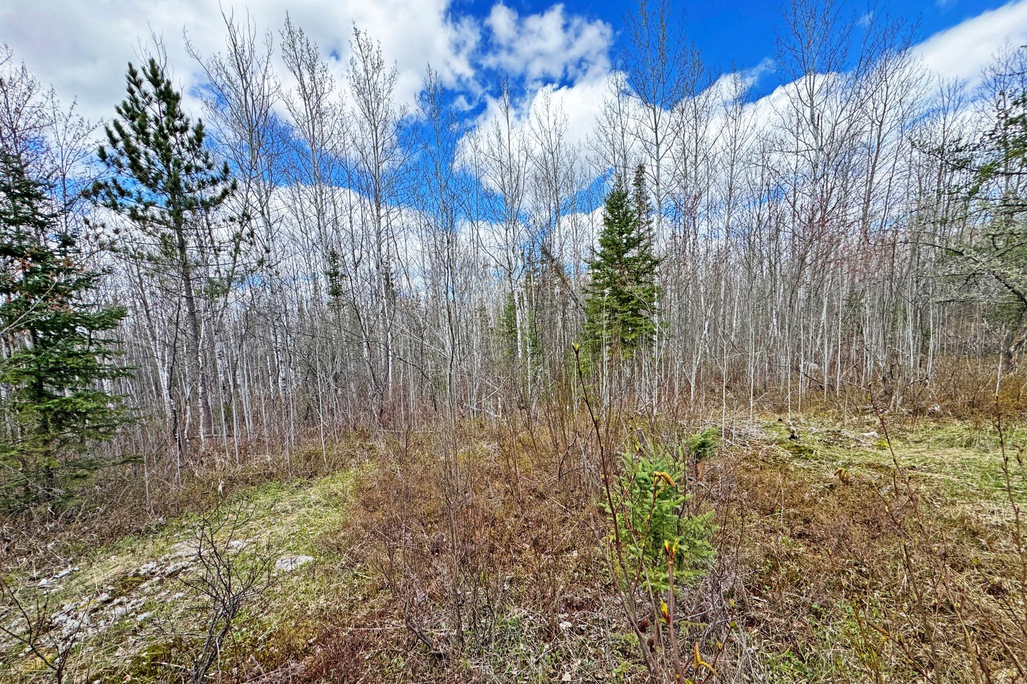 4268 Crane Lake Road Orr, MN 55771 - Photo 21 of 25