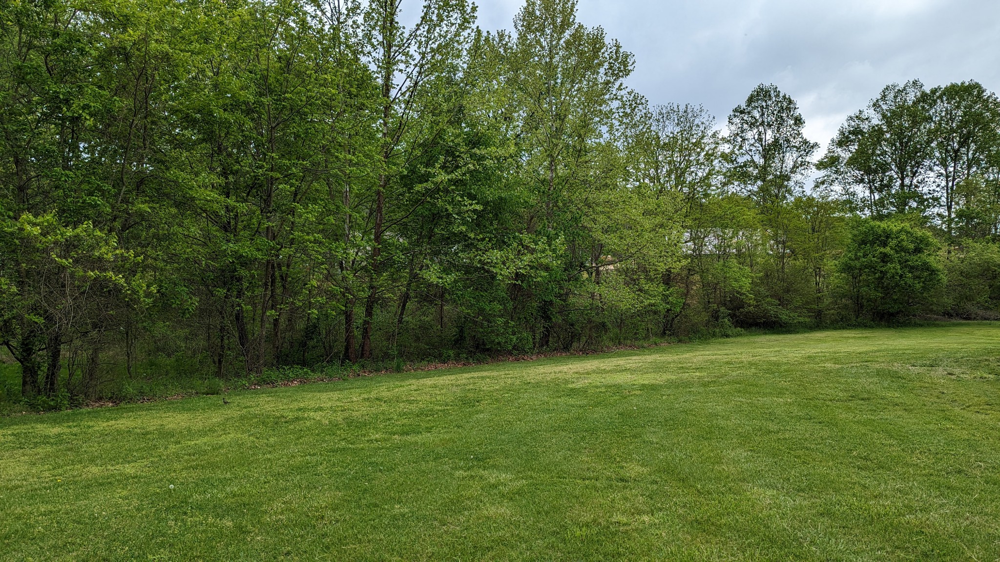 0 Tyree Springs Road White House, TN 37188 - Photo 1 of 26 Gallery Image 1
