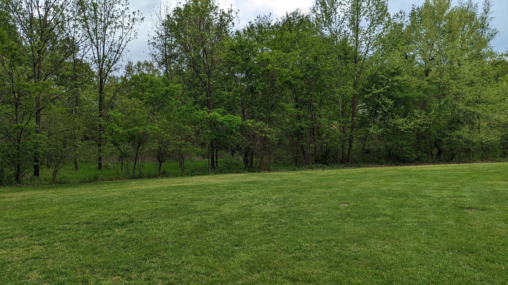 0 Tyree Springs Road White House, TN 37188 - Photo 3 of 26 Gallery Image 3