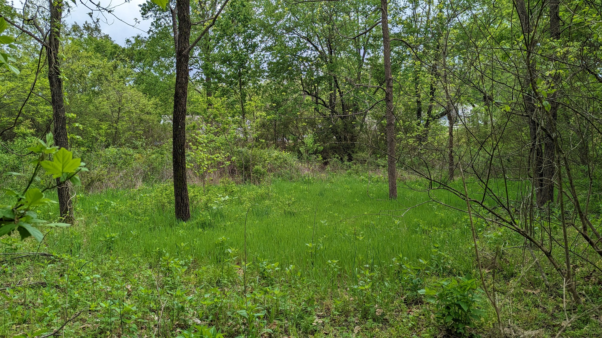 0 Tyree Springs Road White House, TN 37188 - Photo 4 of 26 Gallery Image 4