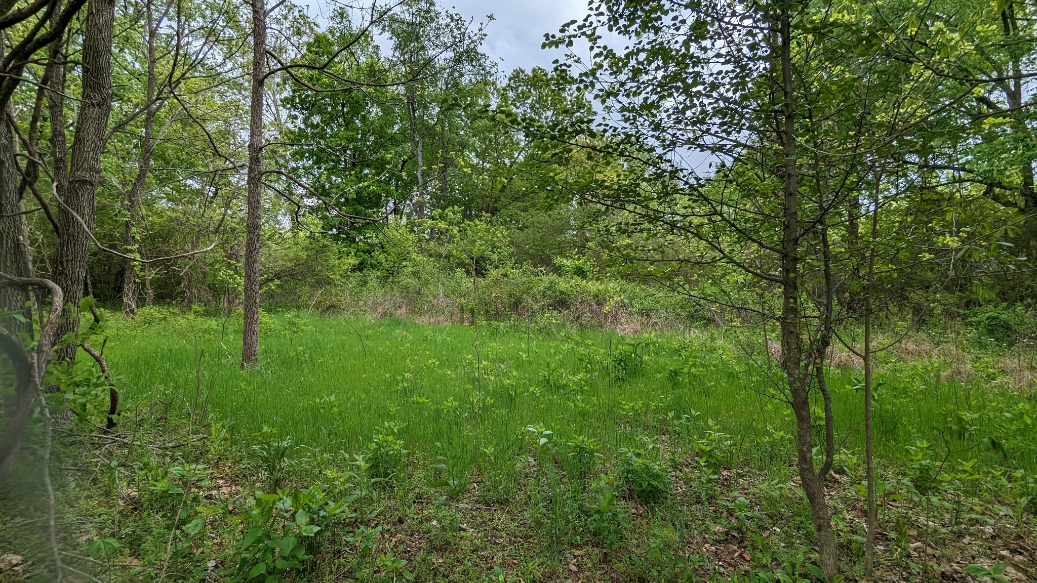 0 Tyree Springs Road White House, TN 37188 - Photo 5 of 26 Gallery Image 5