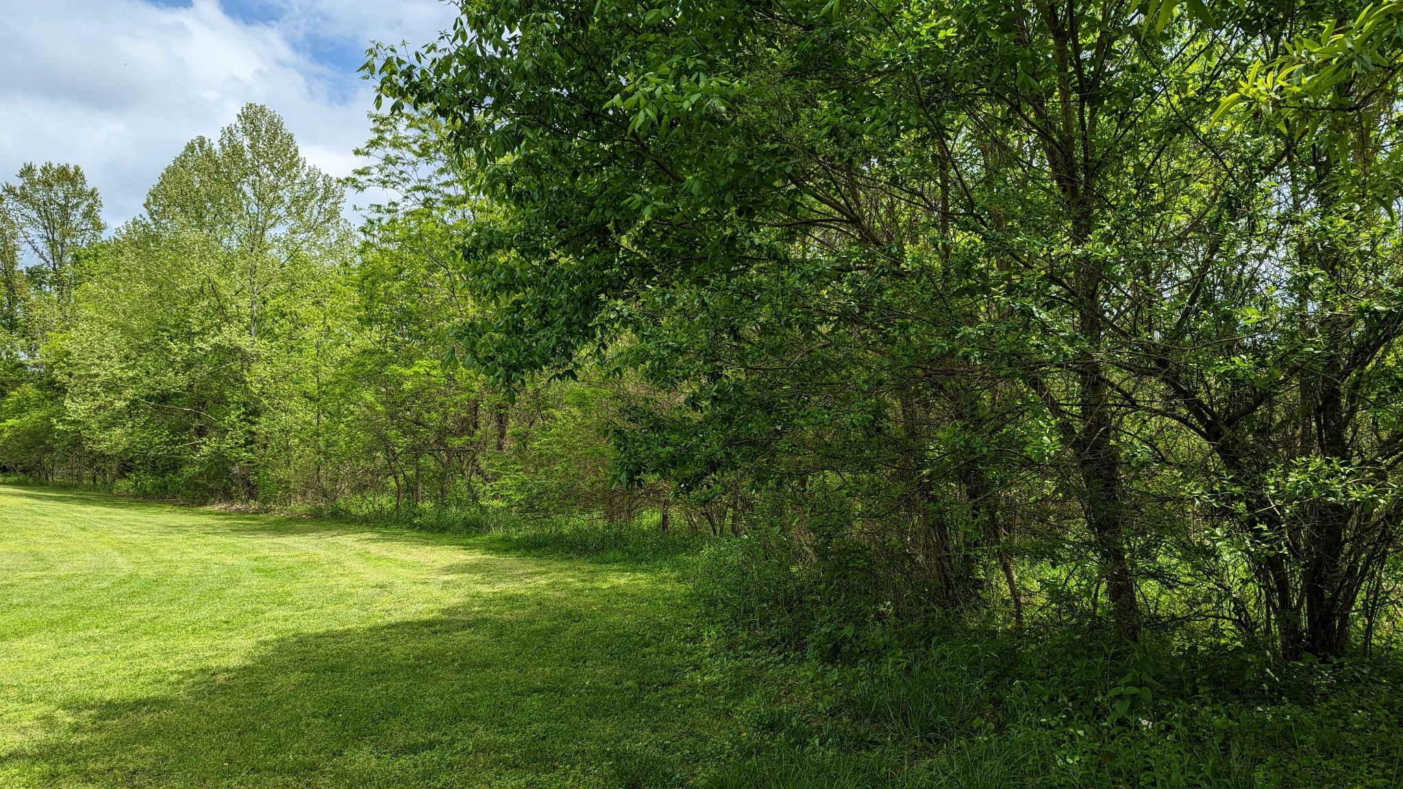 0 Tyree Springs Road White House, TN 37188 - Photo 7 of 26 Gallery Image 7