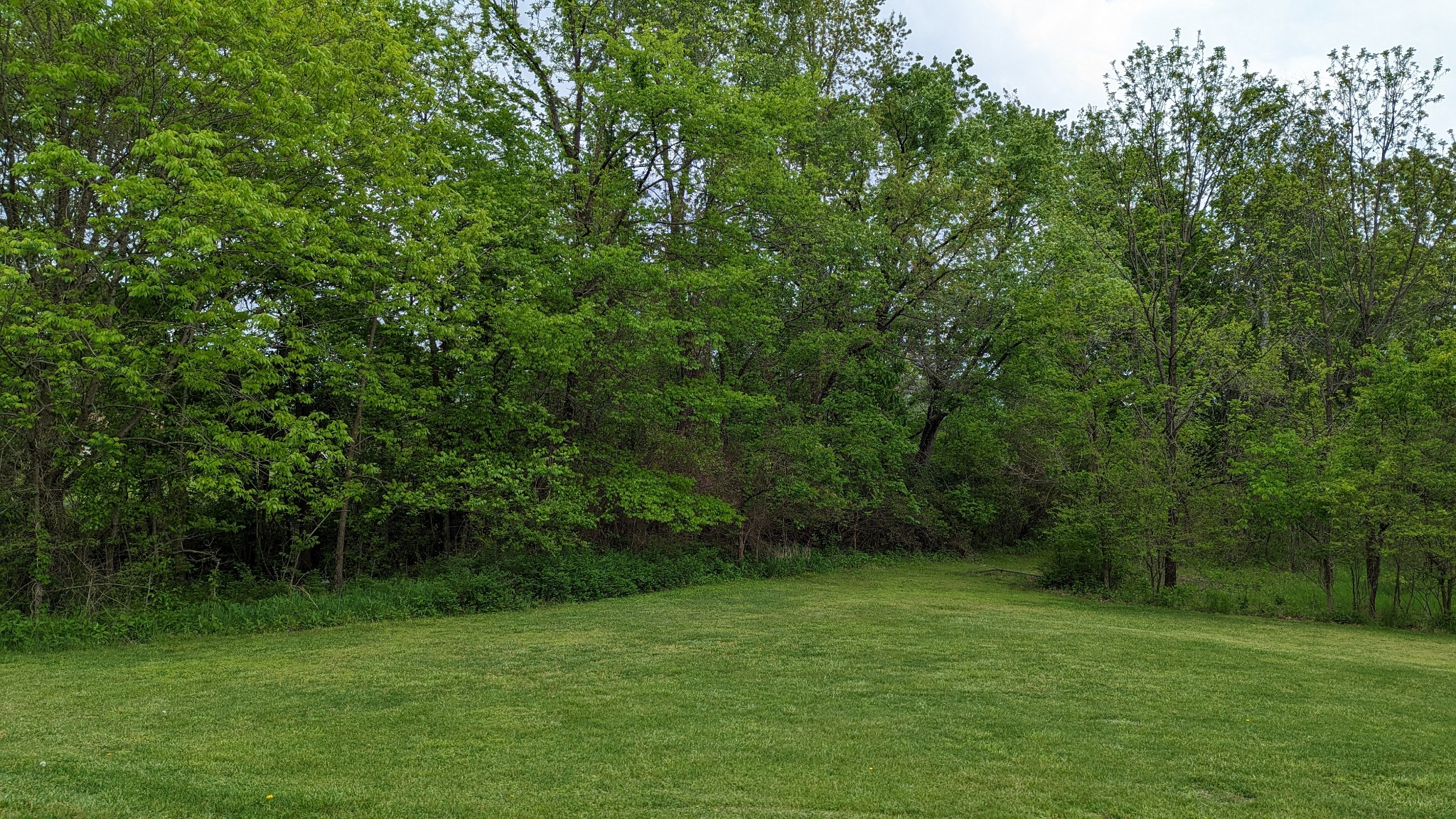 0 Tyree Springs Road White House, TN 37188 - Photo 8 of 26 Gallery Image 8
