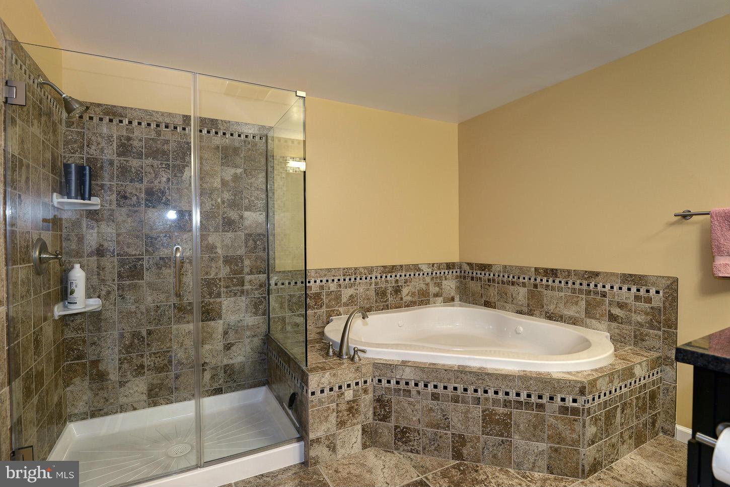 2200 Jester Court Reston, VA 20191 - Photo 18 of 30 Bath (Master)