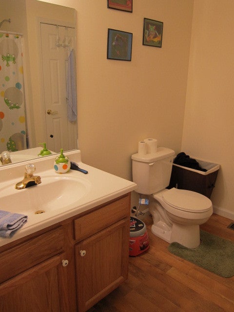 293 West Bailey Road Lewisburg, WV 24901 - Photo 8 of 23 Bath 2 Off Hallway.