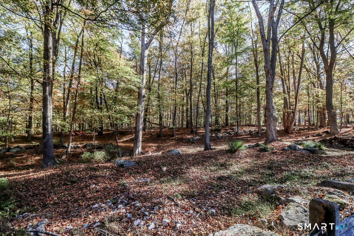 139 Candlewood Mountain Road New Milford, CT 06776 - Photo 38 of 40