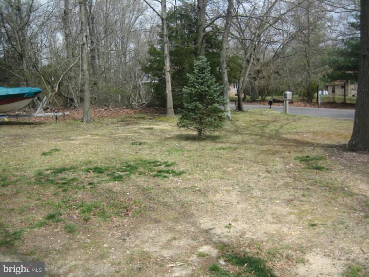 412 Honeymoon Road Glassboro, NJ 08028 - Photo 4 of 14 Gallery Image 4