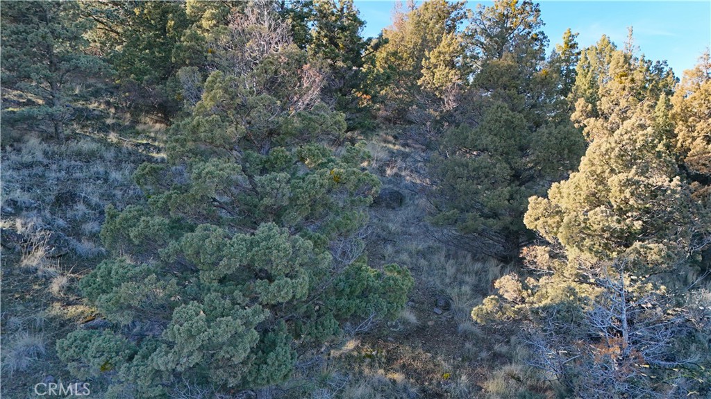 44-43 Dwinnell Road Weed, CA 96094 - Photo 5 of 10