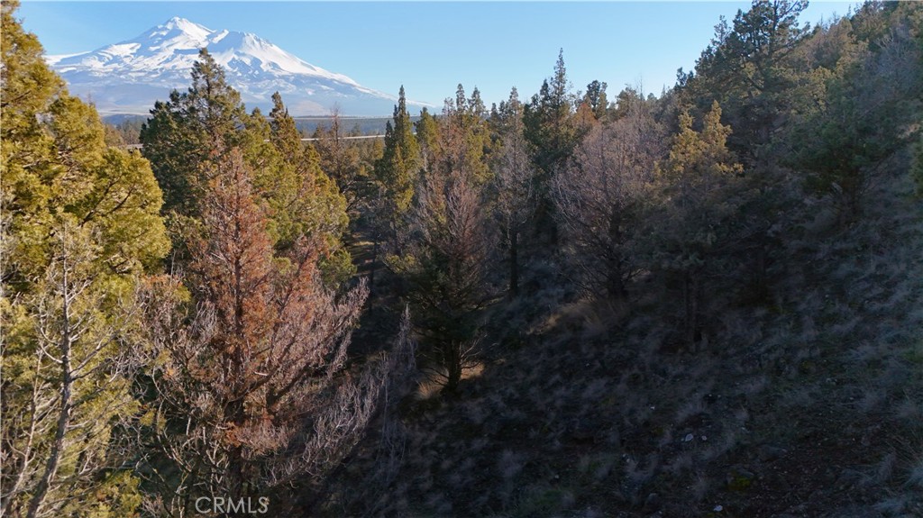 44-43 Dwinnell Road Weed, CA 96094 - Photo 6 of 10 a view of a building in middle of the green field