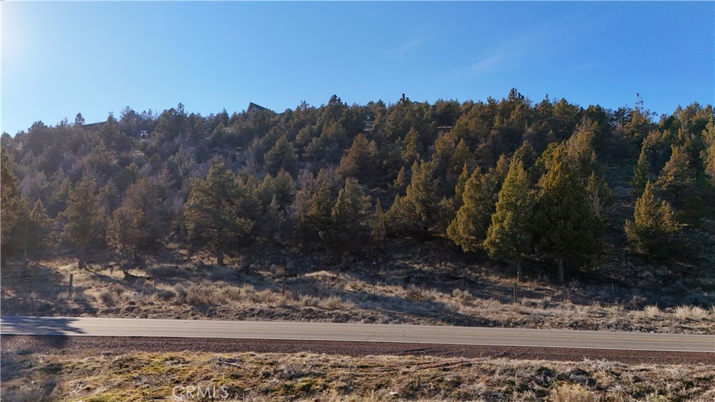 44-43 Dwinnell Road Weed, CA 96094 - Photo 9 of 10 a view of a yard with a tree