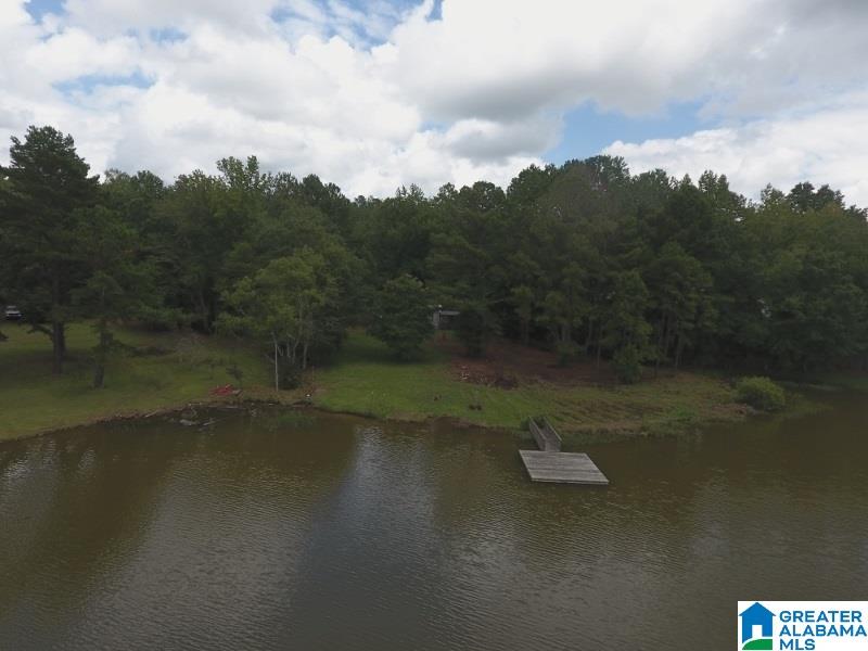 4312 County Road, Unit 17 Wedowee, AL 36278 - Photo 4 of 41
