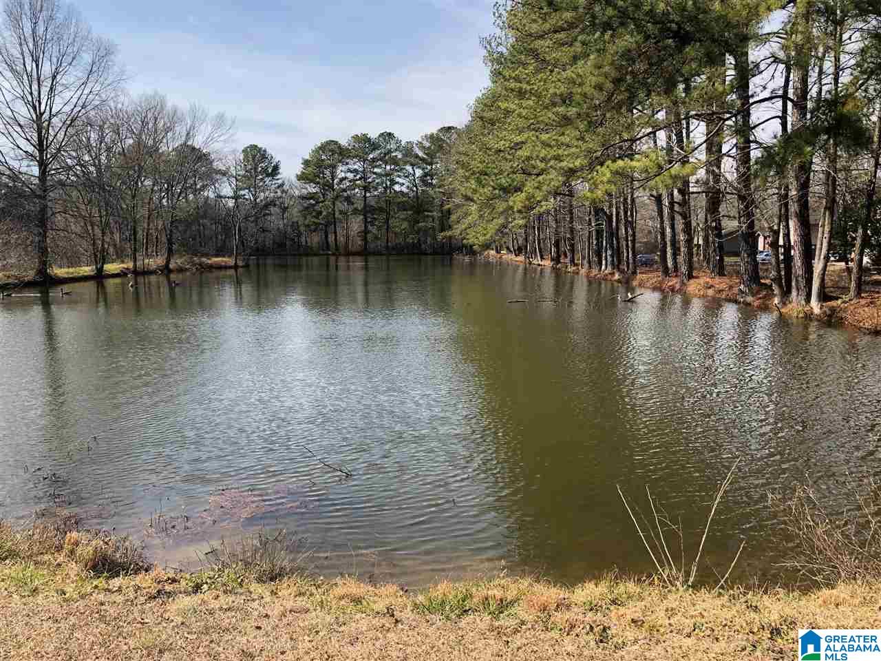 1656 Old Springville Road Birmingham, AL 35215 - Photo 8 of 44