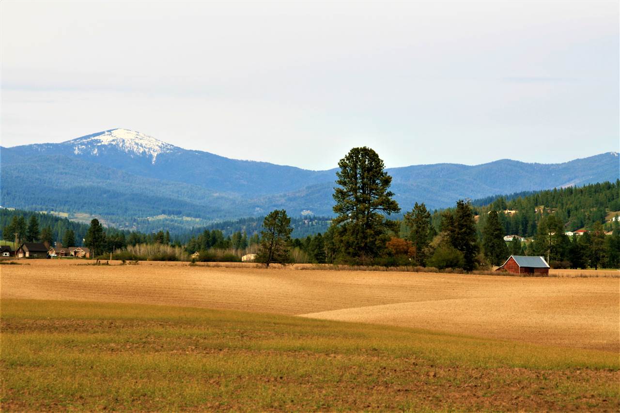 Lot 5 East Peone Road Mead, WA 99021 - Photo 1 of 7