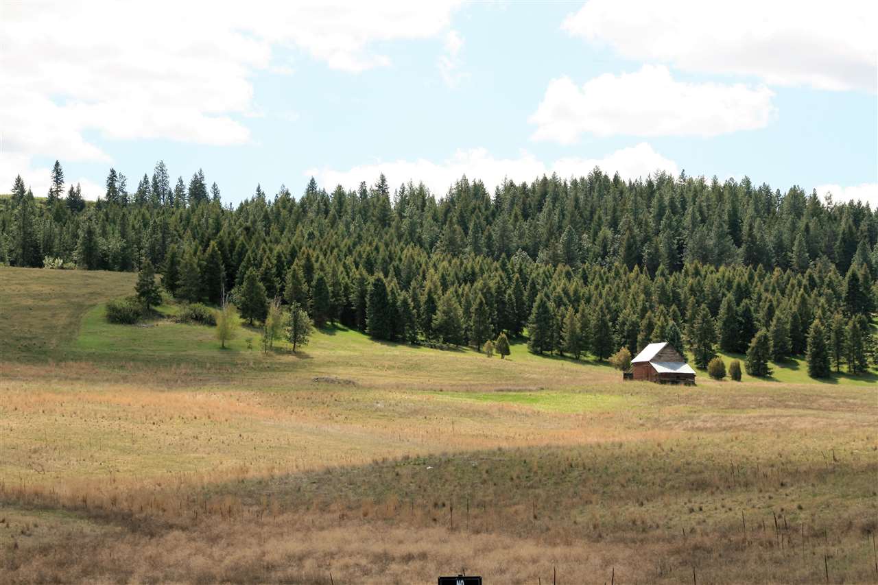 Lot 5 East Peone Road Mead, WA 99021 - Photo 4 of 7