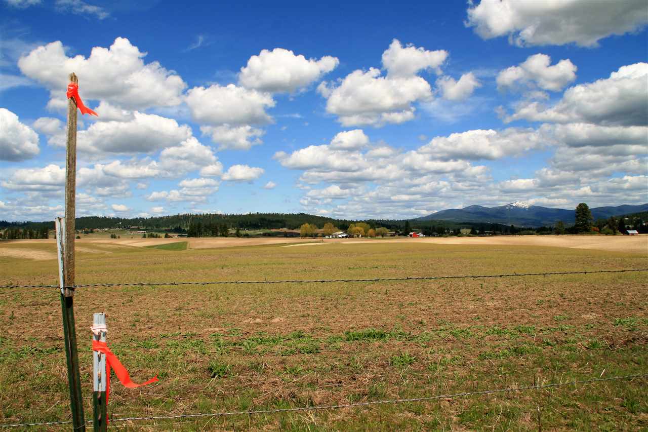 Lot 5 East Peone Road Mead, WA 99021 - Photo 5 of 7