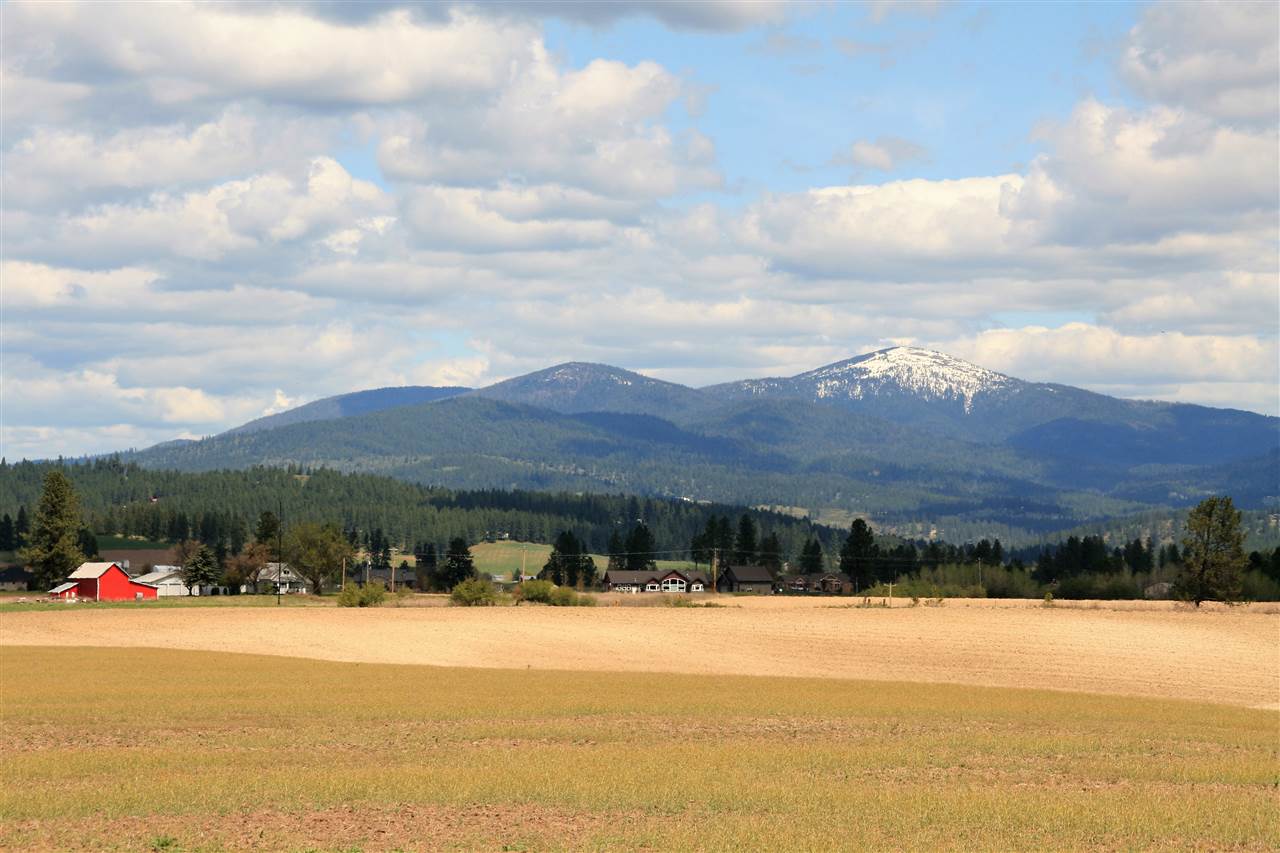 Lot 5 East Peone Road Mead, WA 99021 - Photo 6 of 7