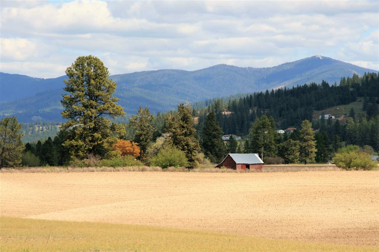 Lot 5 East Peone Road Mead, WA 99021 - Photo 7 of 7
