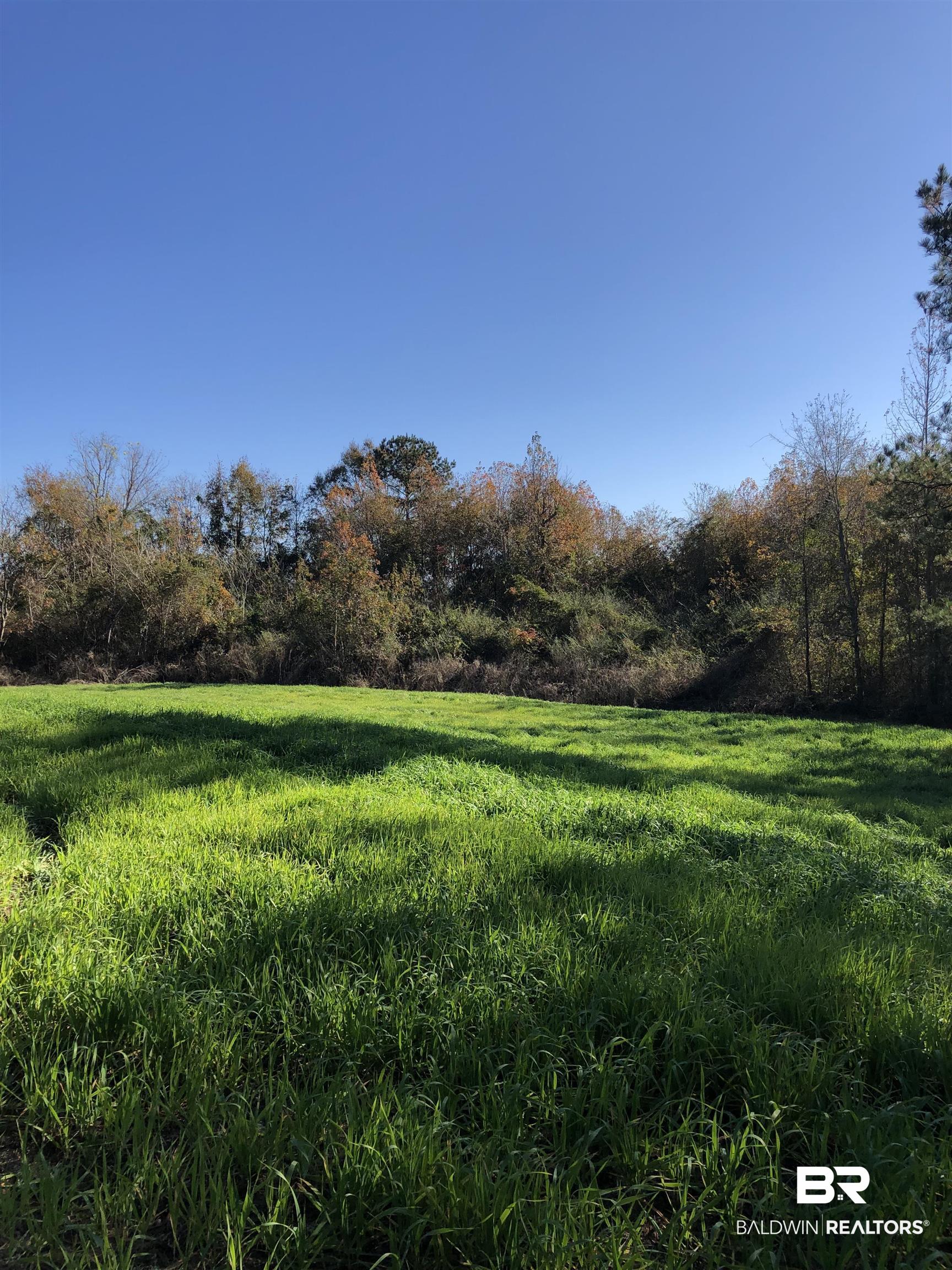 1234 County Road 7 Range, AL 36473 - Photo 5 of 12