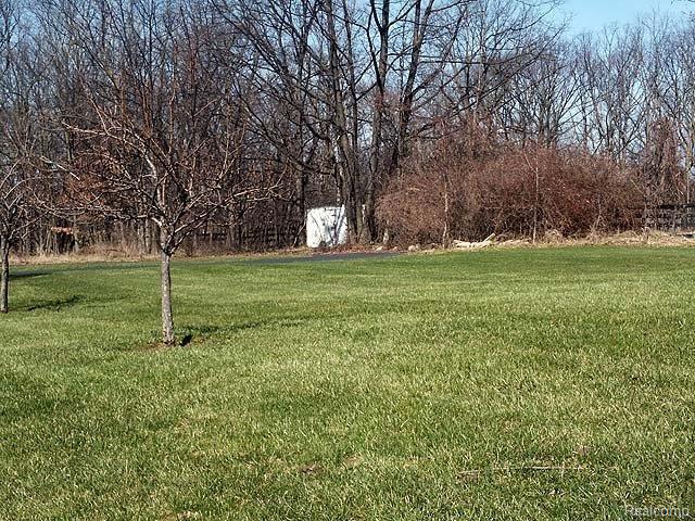 4750 North Rochester Road Rochester, MI 48306 - Photo 19 of 20 Rear yard