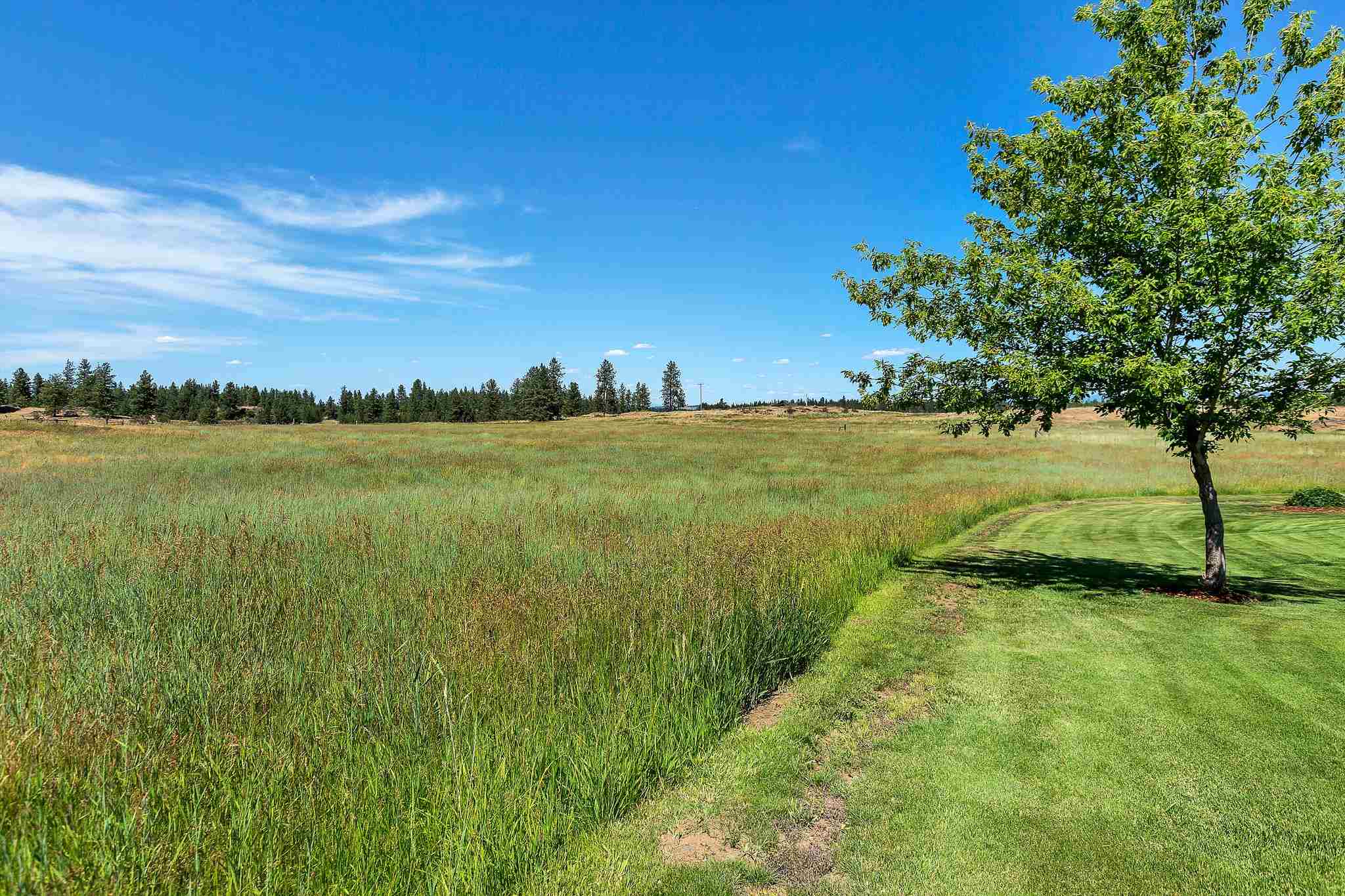 8404 West Greenwood Road Spokane, WA 99224 - Photo 45 of 50 Gallery Image 45