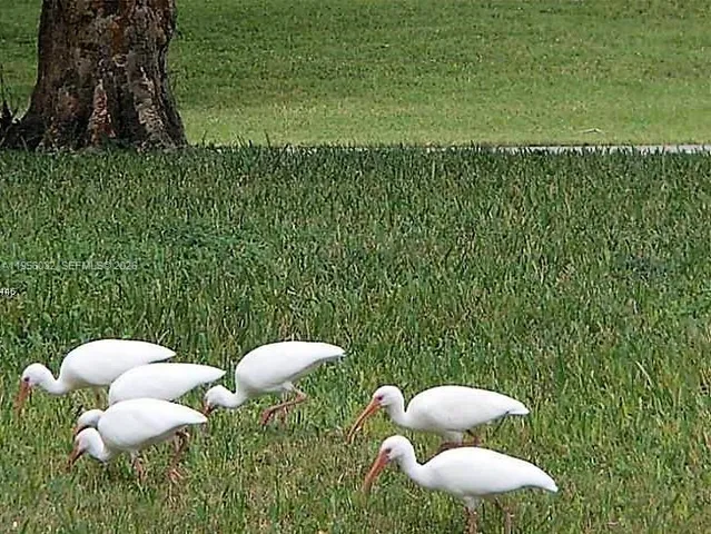 $2,400 | 15610 Southwest 105th Lane, Unit 614, Miami, FL 33196