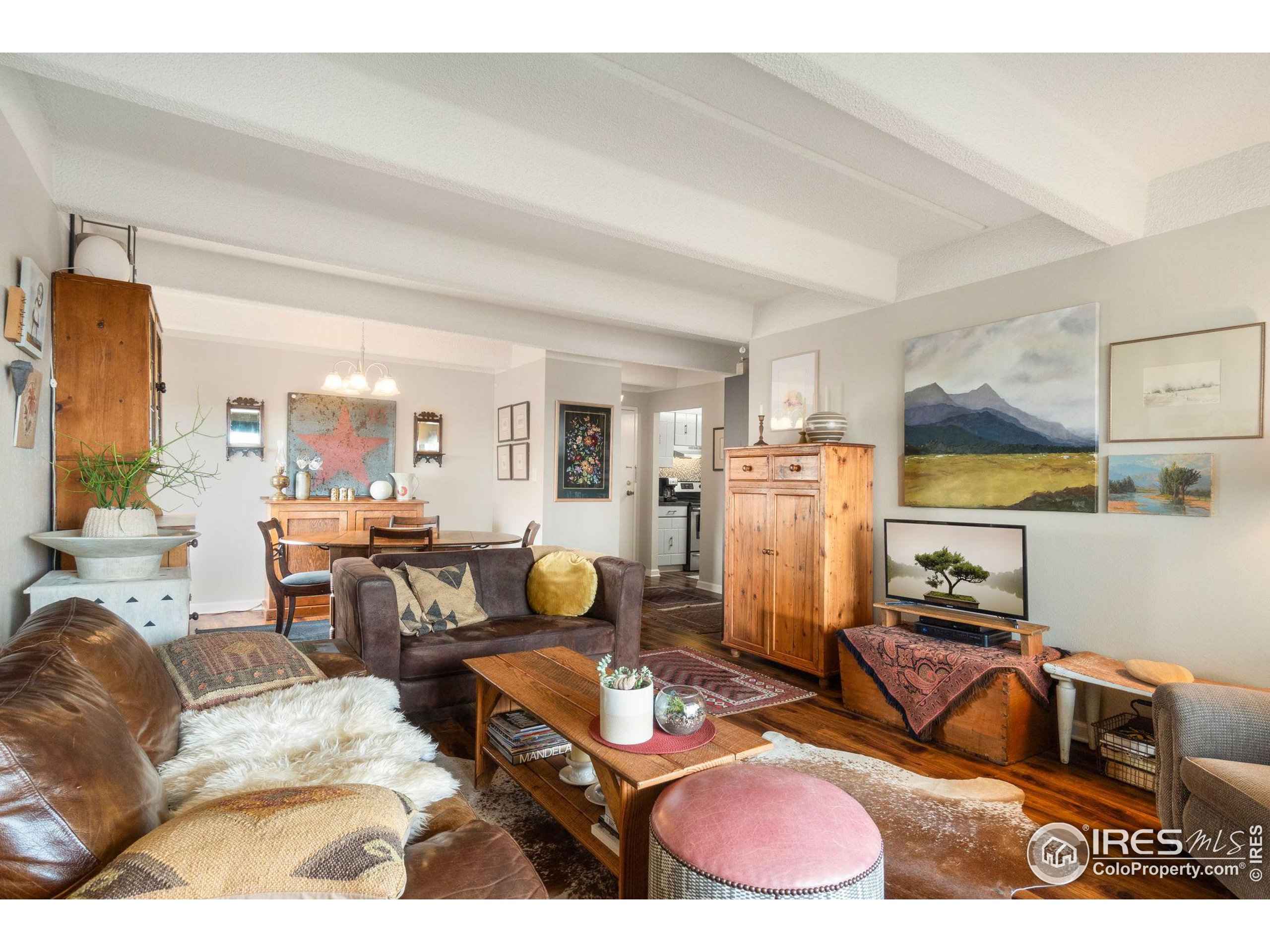 415 South Howes St Unit 1009  