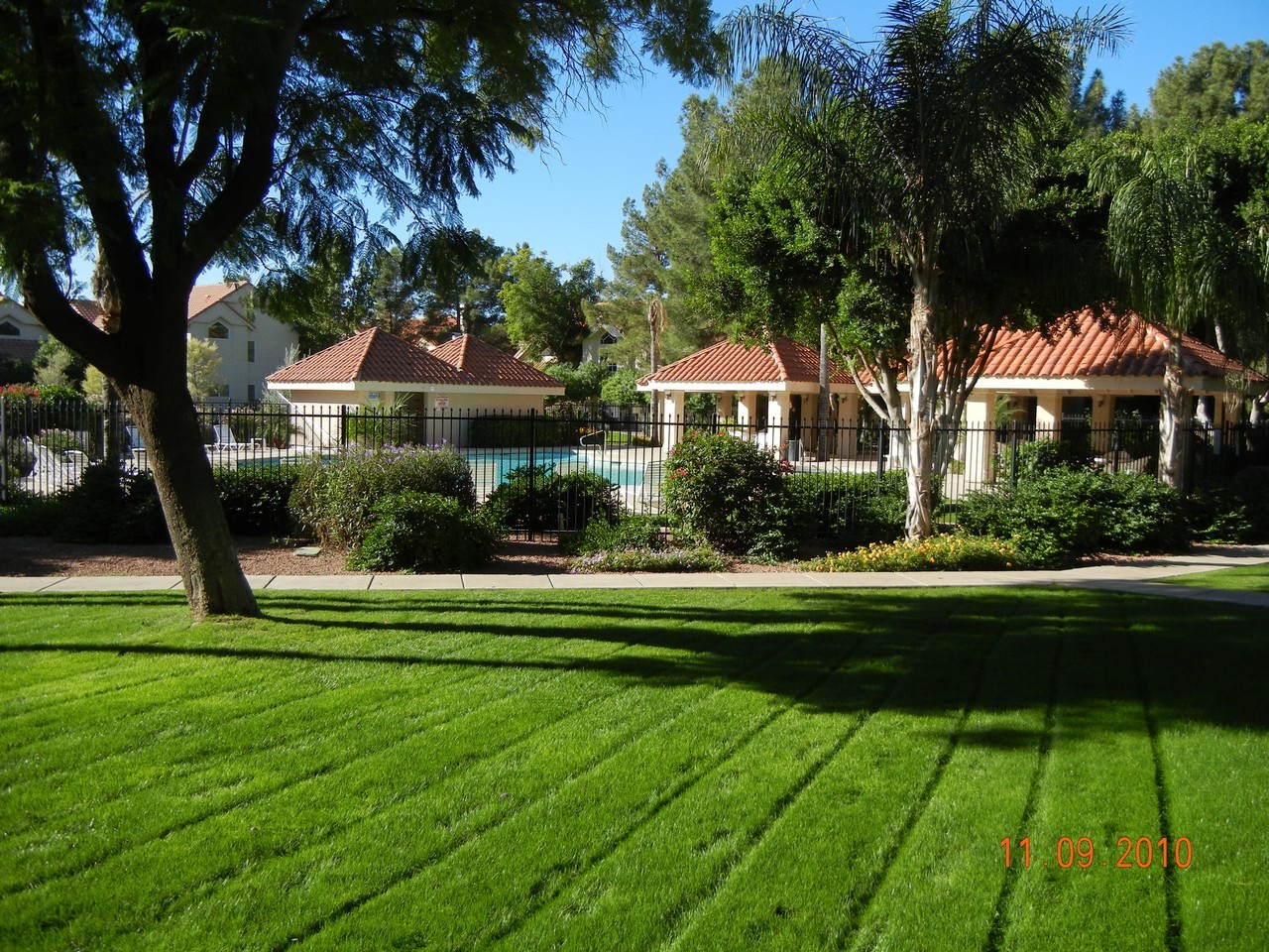 1633 East Lakeside Drive, Unit 51 Gilbert, AZ 85234 - Photo 29 of 36 067