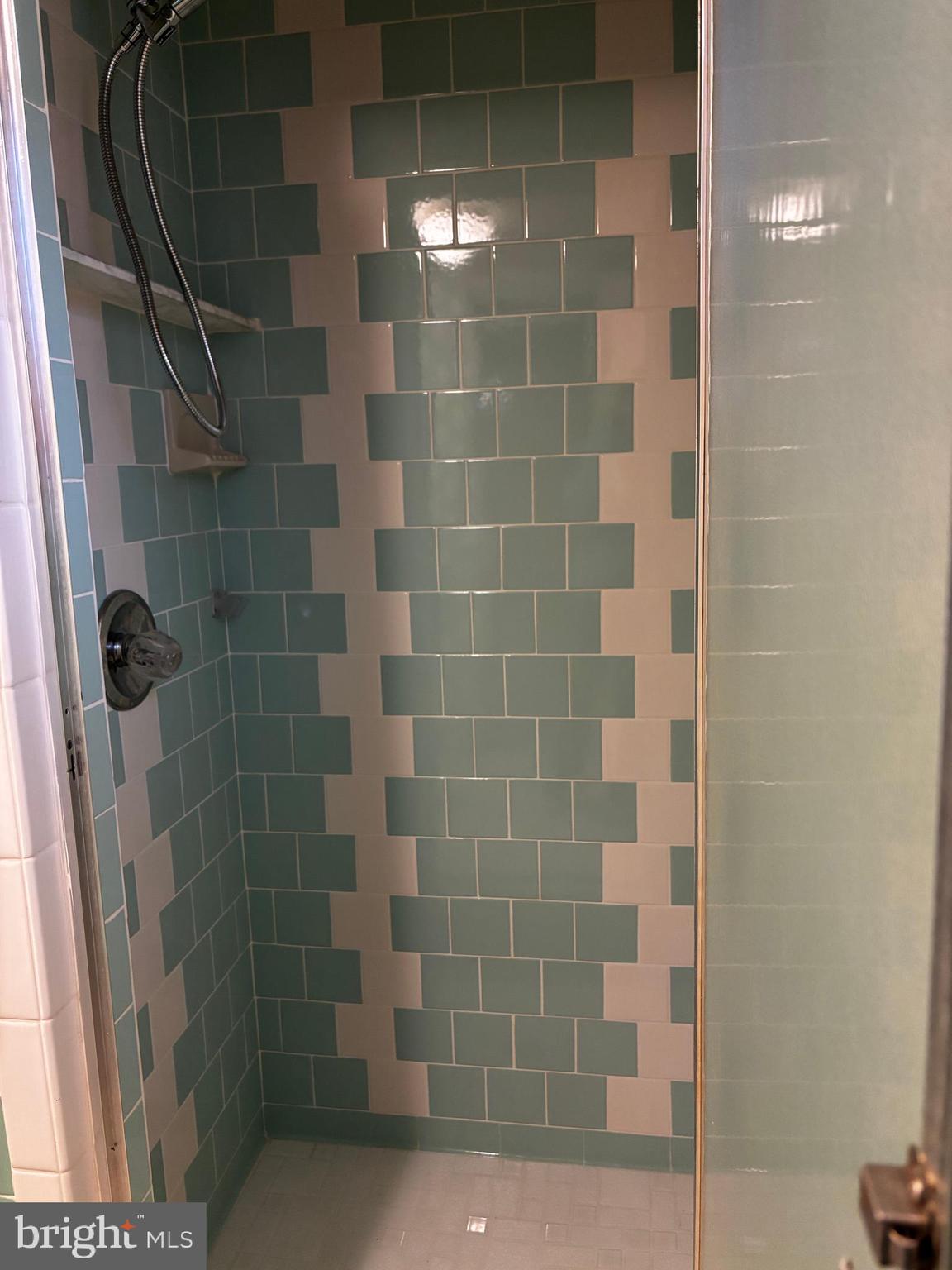 23230 Colton Point Road Avenue, MD 20609 - Photo 42 of 44 a bathroom with a shower