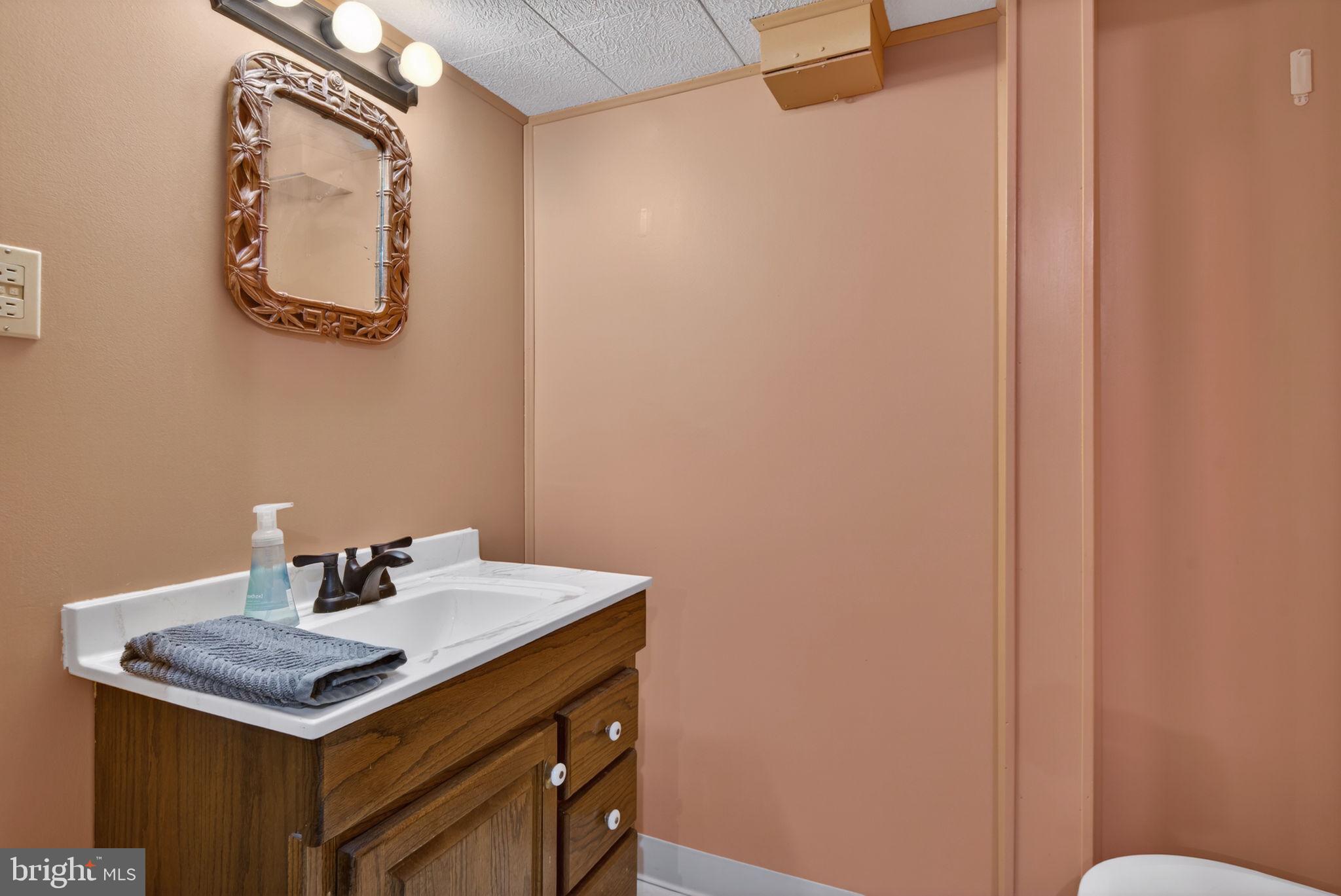 1007 East Walnut Street Lancaster, PA 17602 - Photo 30 of 35 a bathroom with a sink and a mirror