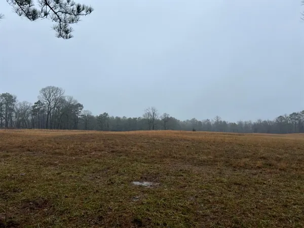 $598,600 | 3121 Clarksville Tx 75426, Clarksville, TX 75426