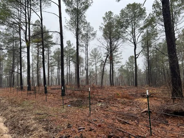 $598,600 | 3121 Clarksville Tx 75426, Clarksville, TX 75426