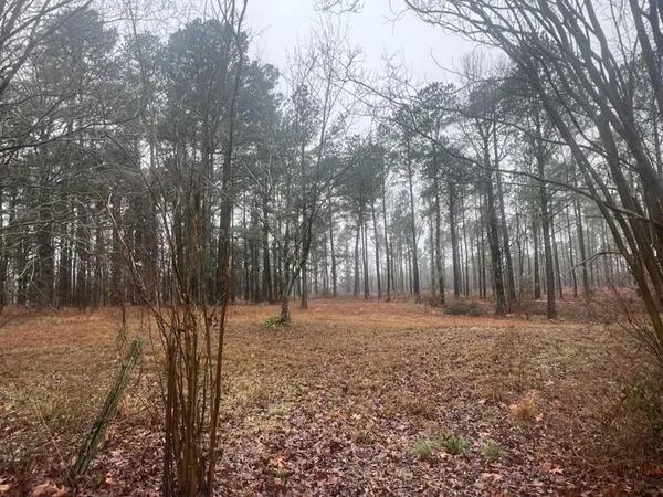 $598,600 | 3121 Clarksville Tx 75426, Clarksville, TX 75426