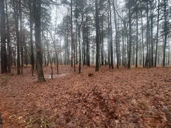 $598,600 | 3121 Clarksville Tx 75426, Clarksville, TX 75426