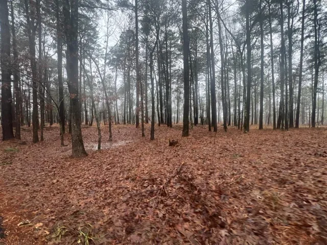 $598,600 | 3121 Clarksville Tx 75426, Clarksville, TX 75426