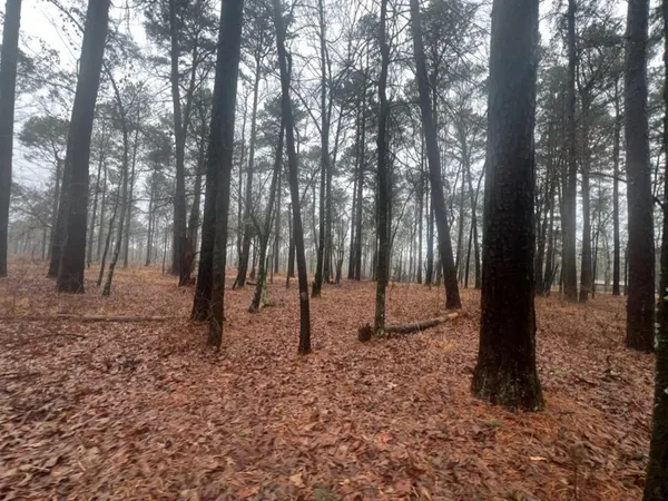 $598,600 | 3121 Clarksville Tx 75426, Clarksville, TX 75426