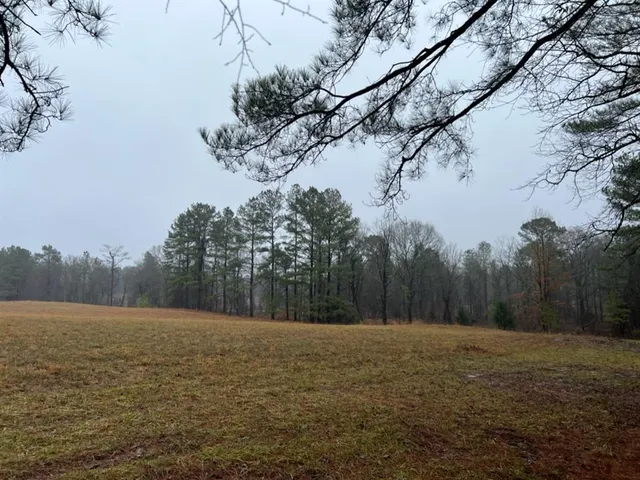 $598,600 | 3121 Clarksville Tx 75426, Clarksville, TX 75426