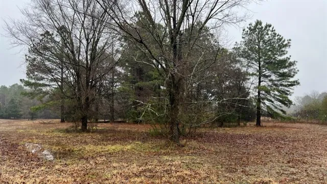 $598,600 | 3121 Clarksville Tx 75426, Clarksville, TX 75426