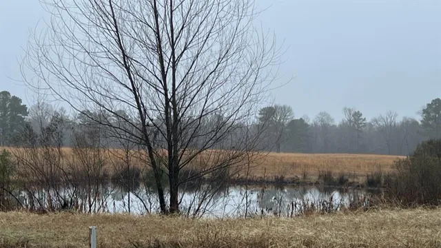 $598,600 | 3121 Clarksville Tx 75426, Clarksville, TX 75426