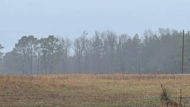 $598,600 | 3121 Clarksville Tx 75426, Clarksville, TX 75426