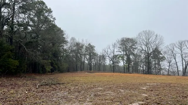 $598,600 | 3121 Clarksville Tx 75426, Clarksville, TX 75426