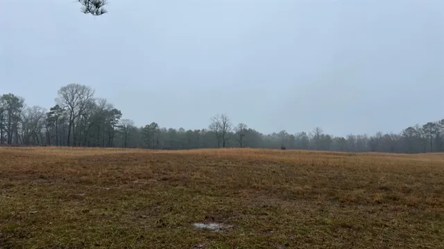 $598,600 | 3121 Clarksville Tx 75426, Clarksville, TX 75426