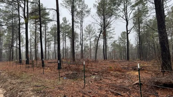 $598,600 | 3121 Clarksville Tx 75426, Clarksville, TX 75426