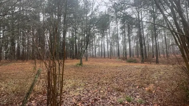 $598,600 | 3121 Clarksville Tx 75426, Clarksville, TX 75426