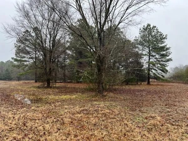 $598,600 | 3121 Clarksville Tx 75426, Clarksville, TX 75426